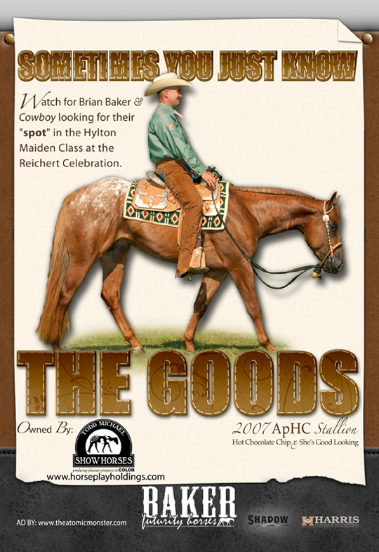 The Goods Advertisement